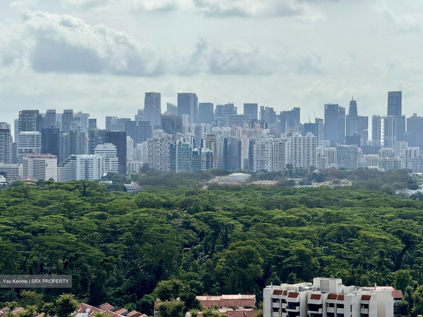 D'Leedon (D10), Condominium #460982111